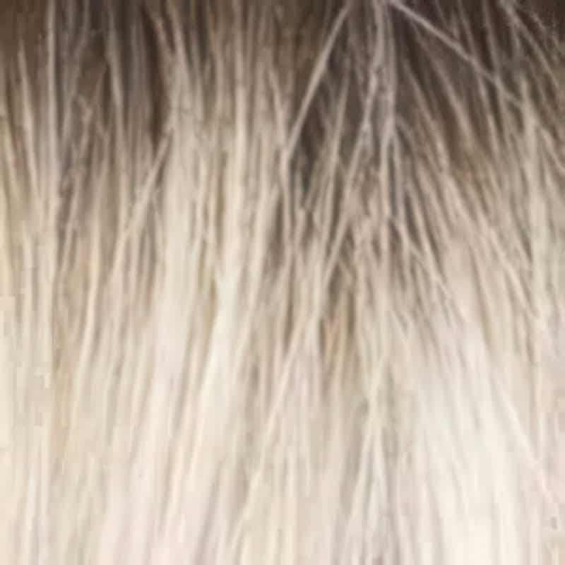 Eva Gabor Wig Color Dark Chocolate Mist