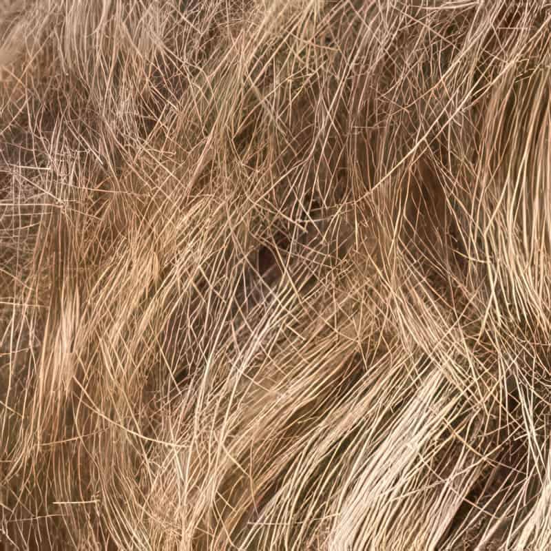 Eva Gabor Wig Color Dark Chocolate Mist
