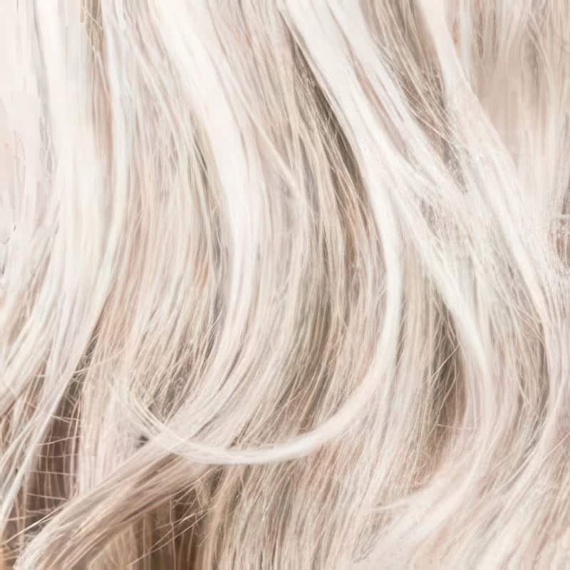 Eva Gabor Wig Color Dark Chocolate Mist