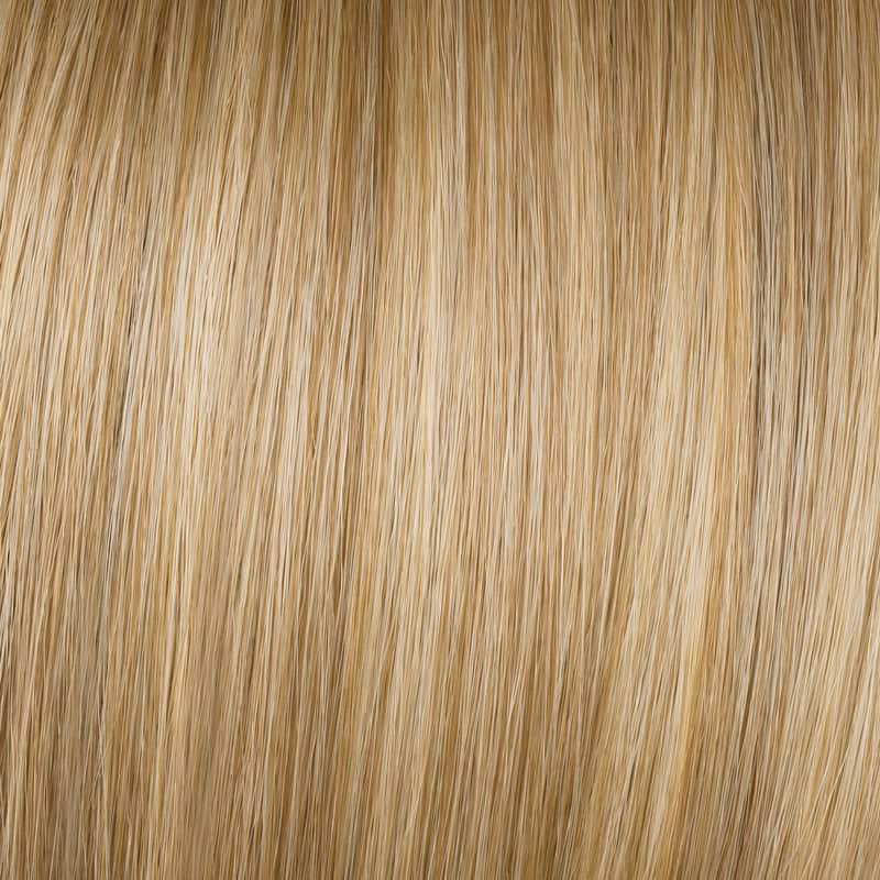 Eva Gabor Wig Color Dark Chocolate Mist