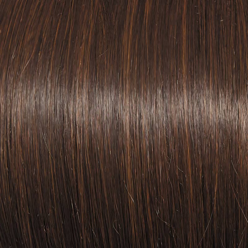 Eva Gabor Wig Color Dark Chocolate Mist