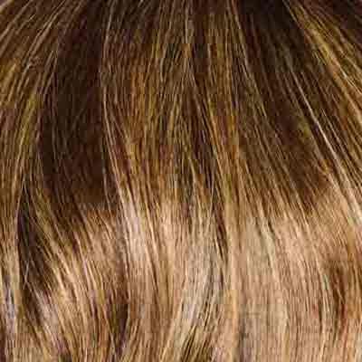 Eva Gabor Wig Color Dark Chocolate Mist