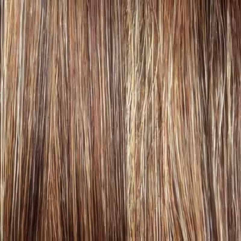 Eva Gabor Wig Color Dark Chocolate Mist