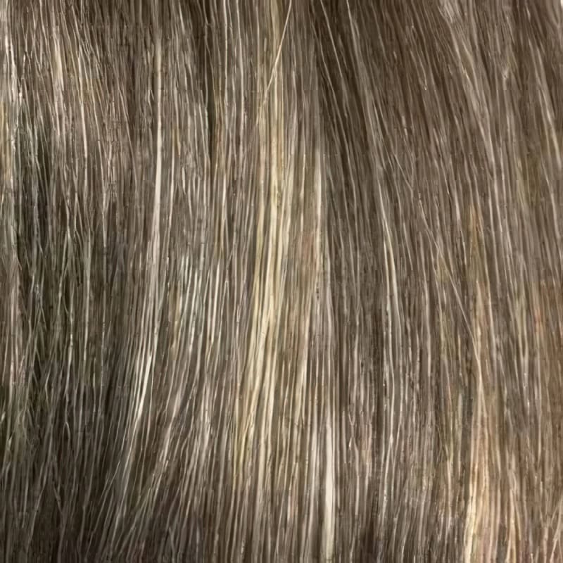 Eva Gabor Wig Color Dark Chocolate Mist