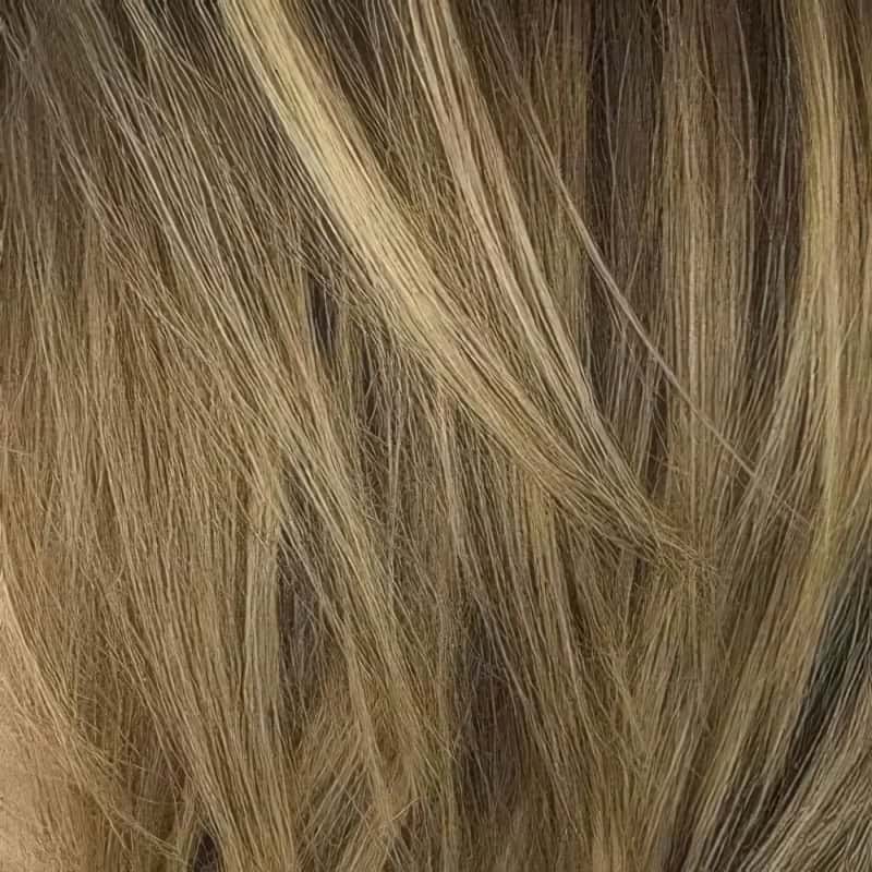 Eva Gabor Wig Color Dark Chocolate Mist