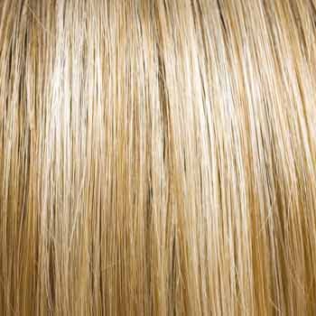 Eva Gabor Wig Color Dark Chocolate Mist