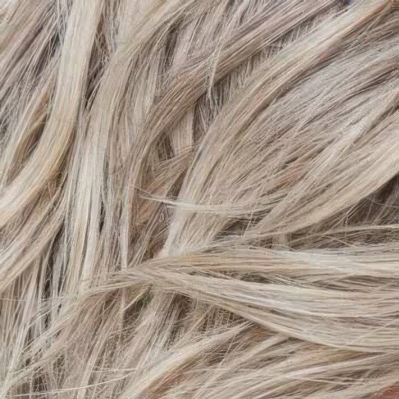Eva Gabor Wig Color Dark Chocolate Mist