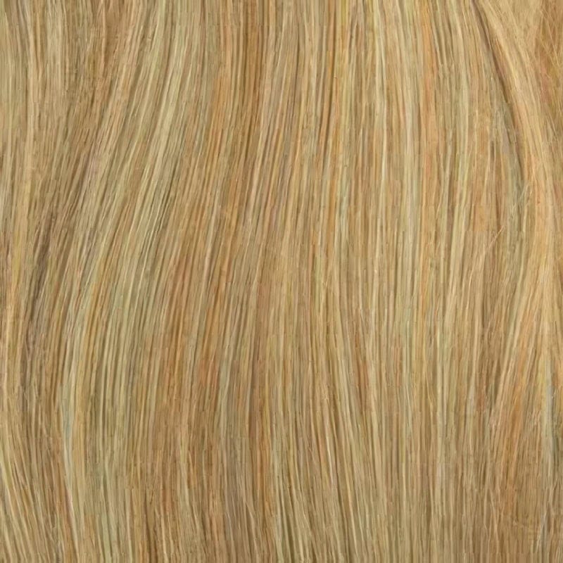 Eva Gabor Wig Color Dark Chocolate Mist