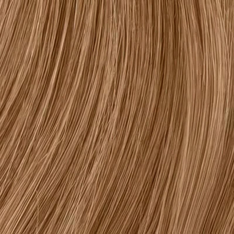 Eva Gabor Wig Color Dark Chocolate Mist