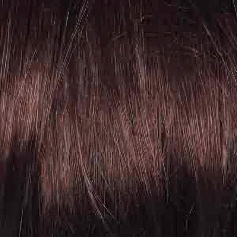 Eva Gabor Wig Color Dark Chocolate Mist