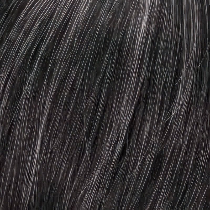 Eva Gabor Wig Color Dark Chocolate Mist