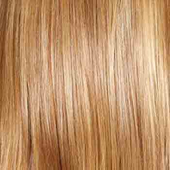 Eva Gabor Wig Color Dark Chocolate Mist