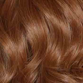 Eva Gabor Wig Color Dark Chocolate Mist