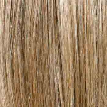 Eva Gabor Wig Color Dark Chocolate Mist