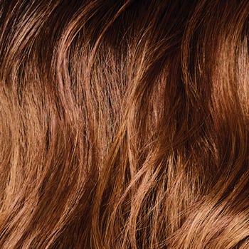 Eva Gabor Wig Color Dark Chocolate Mist