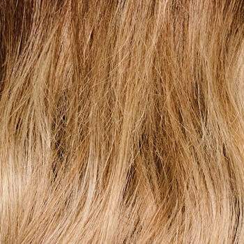 Eva Gabor Wig Color Dark Chocolate Mist