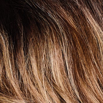 Eva Gabor Wig Color Dark Chocolate Mist