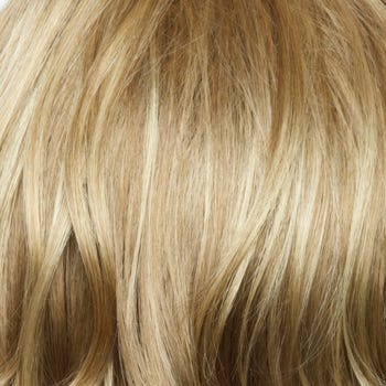 Eva Gabor Wig Color Dark Chocolate Mist