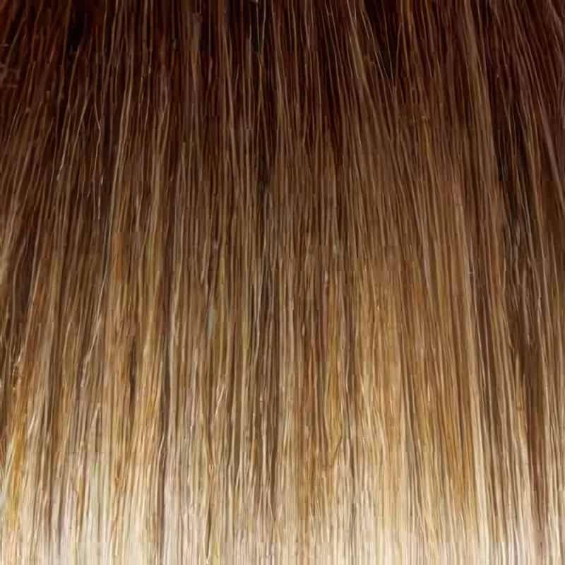 Eva Gabor Wig Color Dark Chocolate Mist