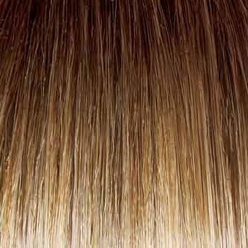 Eva Gabor Wig Color Dark Chocolate Mist