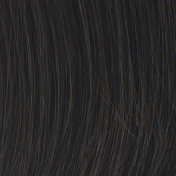 Eva Gabor Wig Color Dark Chocolate Mist