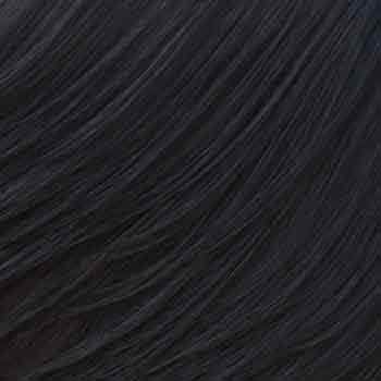 Eva Gabor Wig Color Dark Chocolate Mist