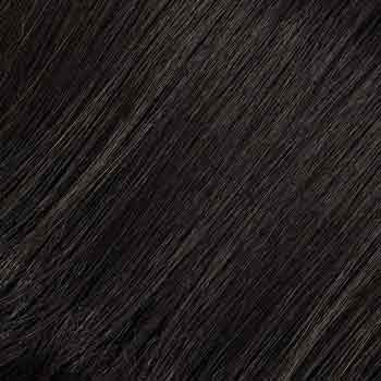 Eva Gabor Wig Color Dark Chocolate Mist