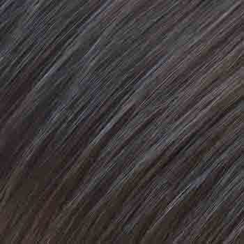 Eva Gabor Wig Color Dark Chocolate Mist