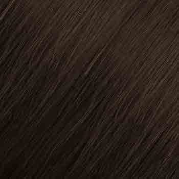 Eva Gabor Wig Color Dark Chocolate Mist