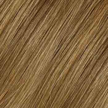 Eva Gabor Wig Color Dark Chocolate Mist