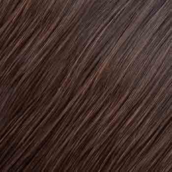 Eva Gabor Wig Color Dark Chocolate Mist
