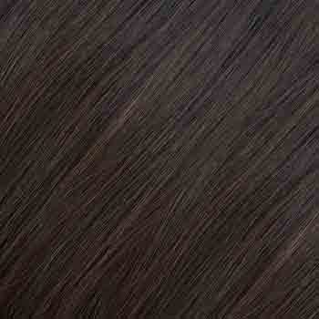 Eva Gabor Wig Color Dark Chocolate Mist