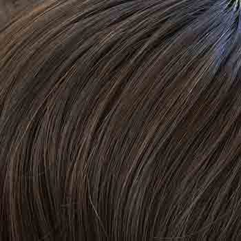 Eva Gabor Wig Color Dark Chocolate Mist