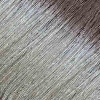 Eva Gabor Wig Color Dark Chocolate Mist