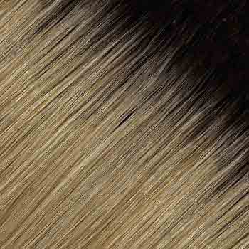 Eva Gabor Wig Color Dark Chocolate Mist