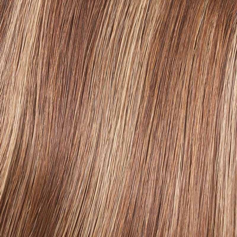 Eva Gabor Wig Color Dark Chocolate Mist