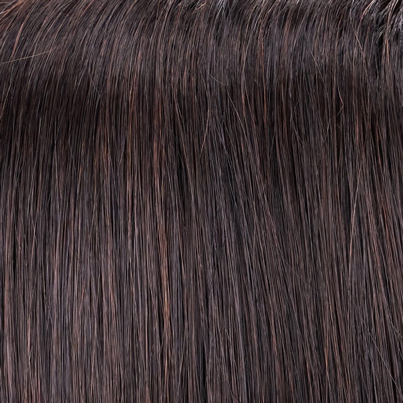 Eva Gabor Wig Color Dark Chocolate Mist