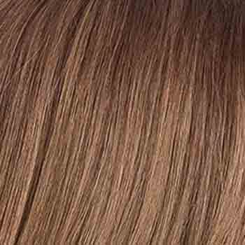 Eva Gabor Wig Color Dark Chocolate Mist