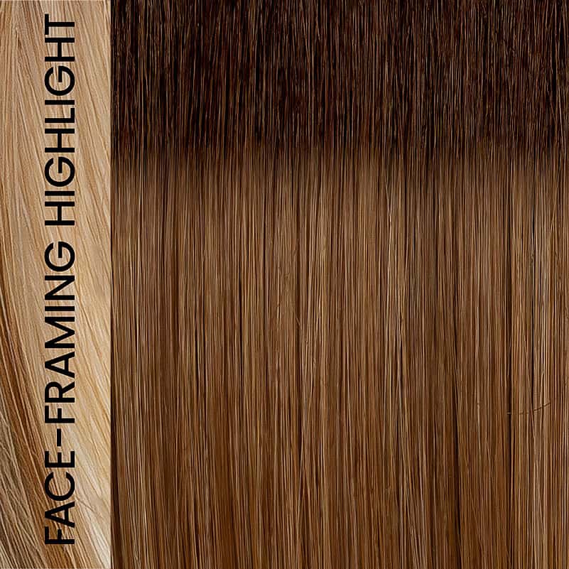 Eva Gabor Wig Color Dark Chocolate Mist