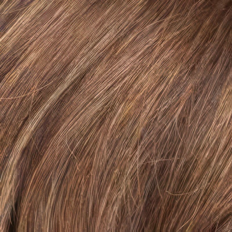 Eva Gabor Wig Color Dark Chocolate Mist