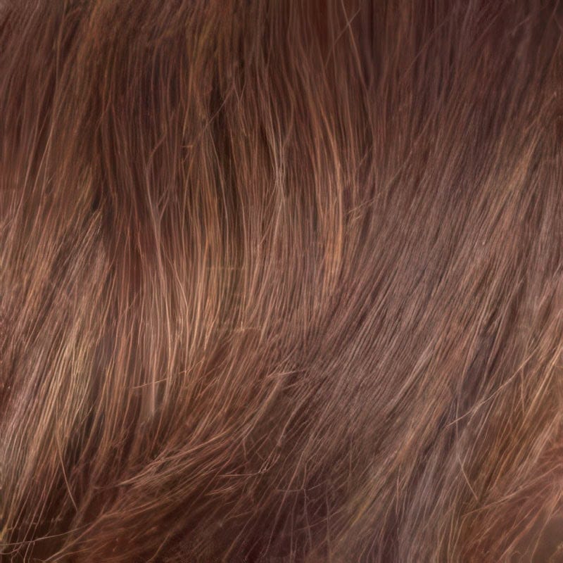 Eva Gabor Wig Color Dark Chocolate Mist