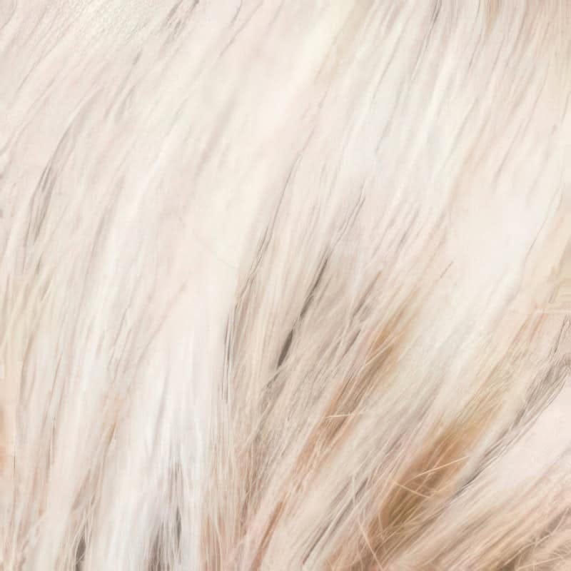 Eva Gabor Wig Color Dark Chocolate Mist