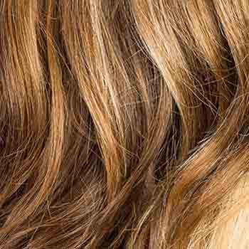 Eva Gabor Wig Color Dark Chocolate Mist
