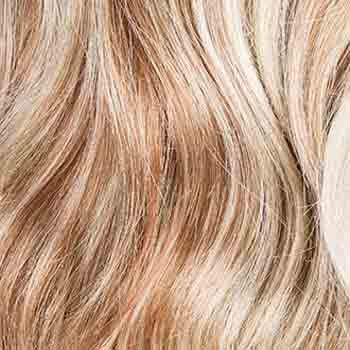 Eva Gabor Wig Color Dark Chocolate Mist
