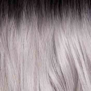 Eva Gabor Wig Color Dark Chocolate Mist