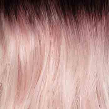 Eva Gabor Wig Color Dark Chocolate Mist