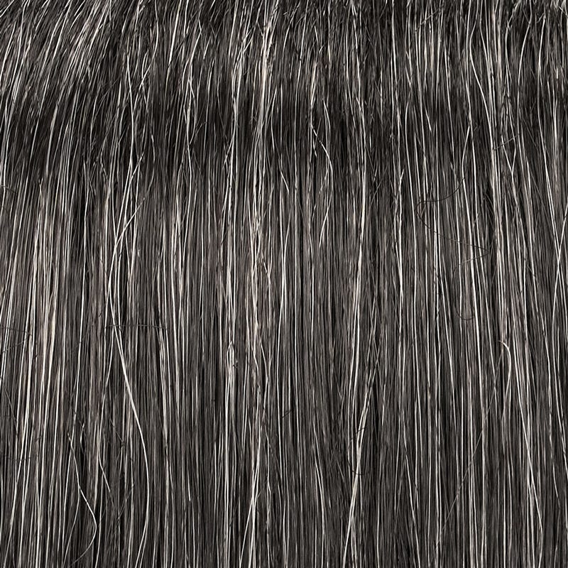 Eva Gabor Wig Color Dark Chocolate Mist