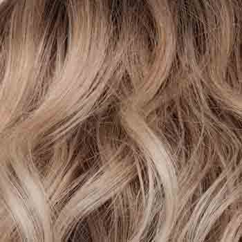Eva Gabor Wig Color Dark Chocolate Mist