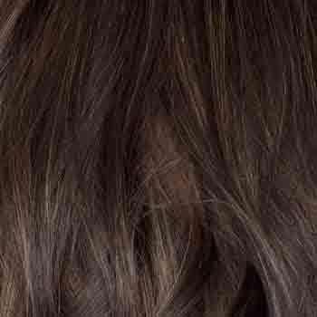 Eva Gabor Wig Color Dark Chocolate Mist