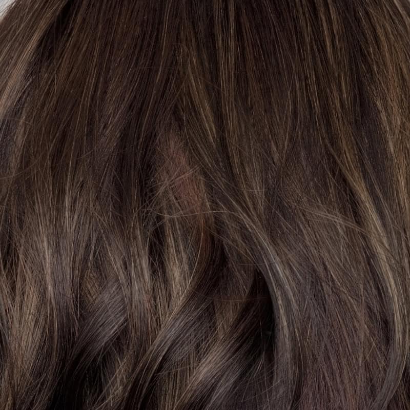 Eva Gabor Wig Color Dark Chocolate Mist